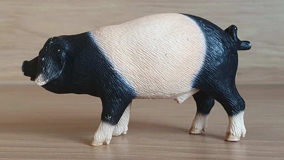 prase švábské  13643, model 2008