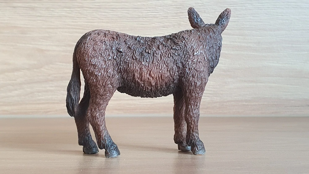 osel 13661, model 2009