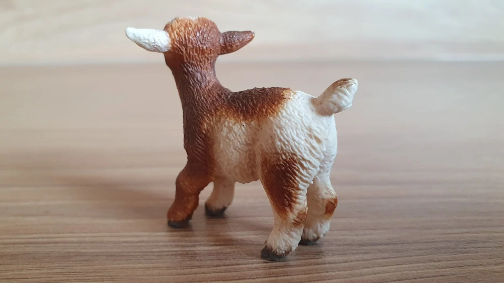 kůzle strakaté 13716, model 2011