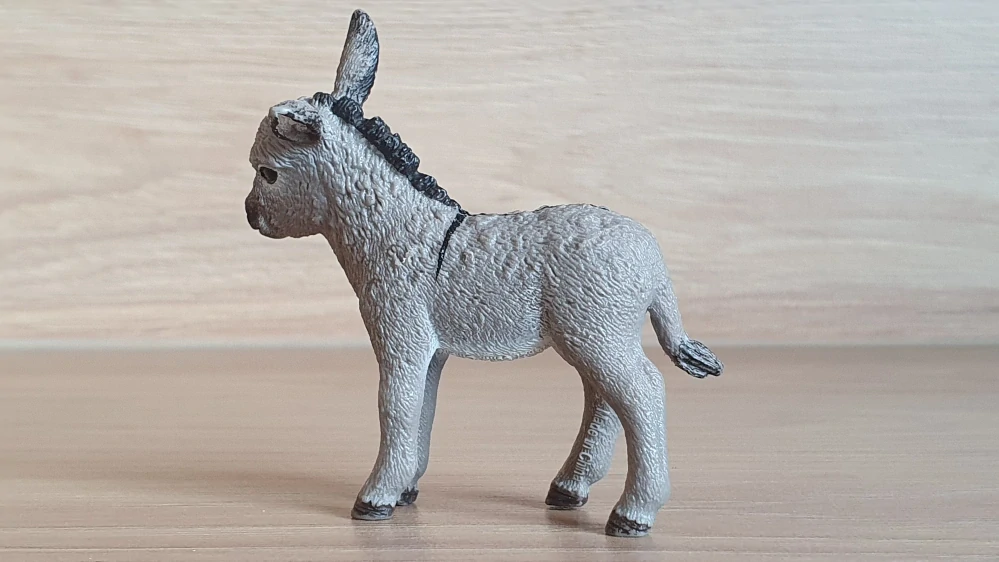 osel mládě 13746, model 2013