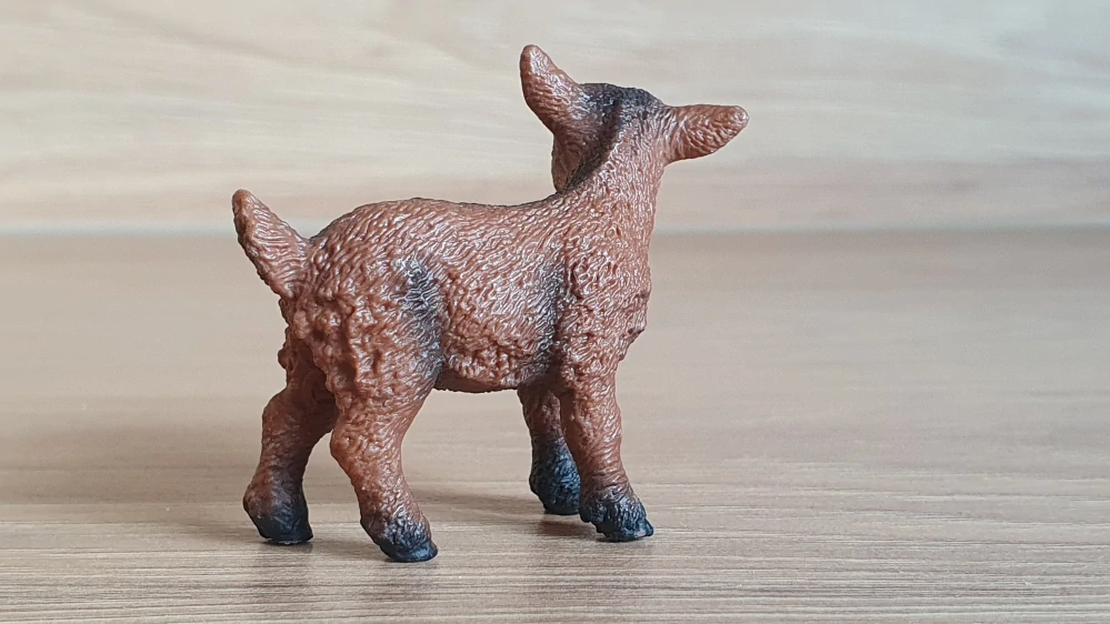 kůzle hnědé 13829, model 2016