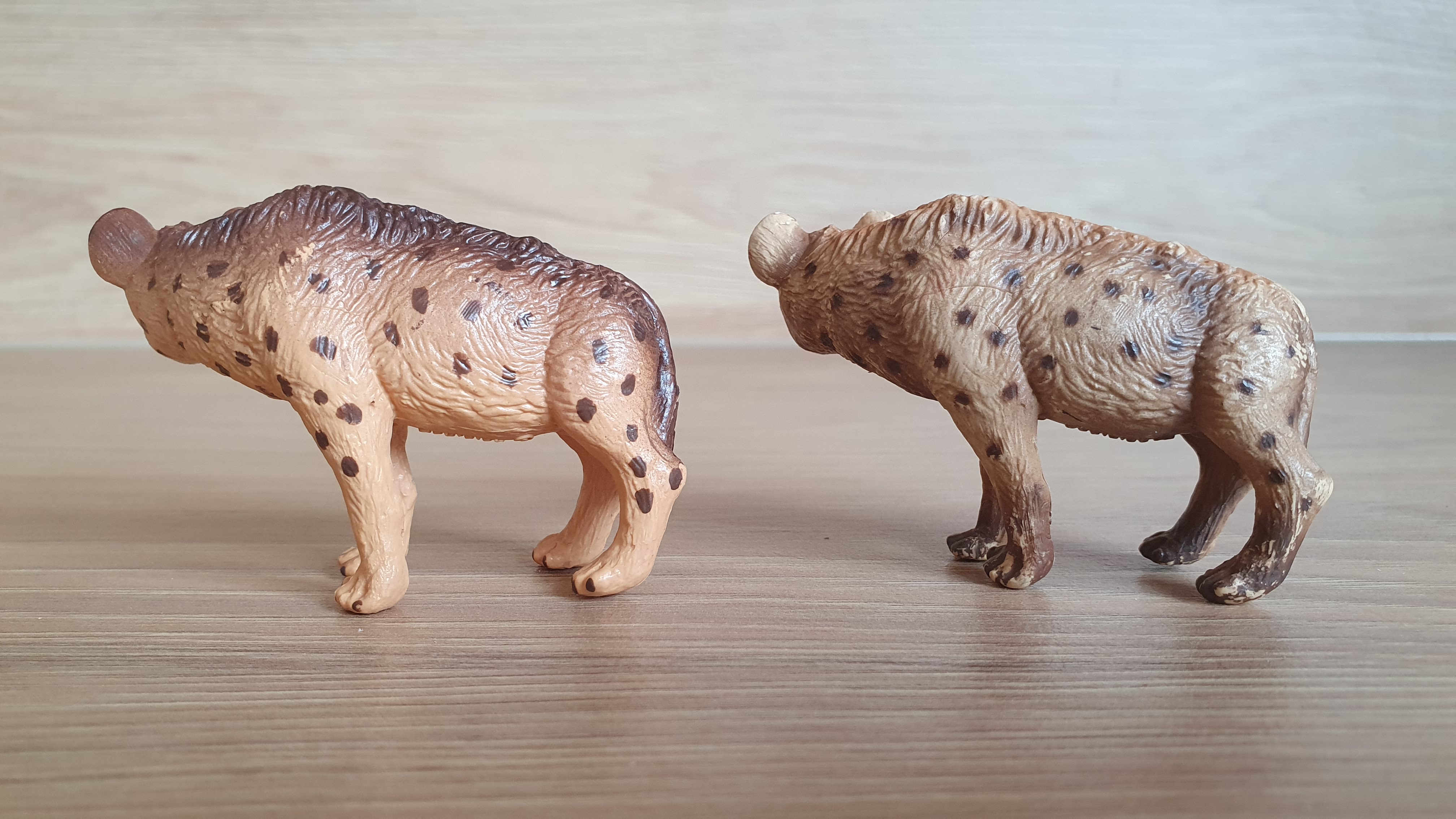 hyena