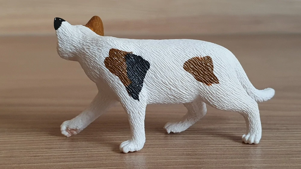 kočka americká 13894, model 2019