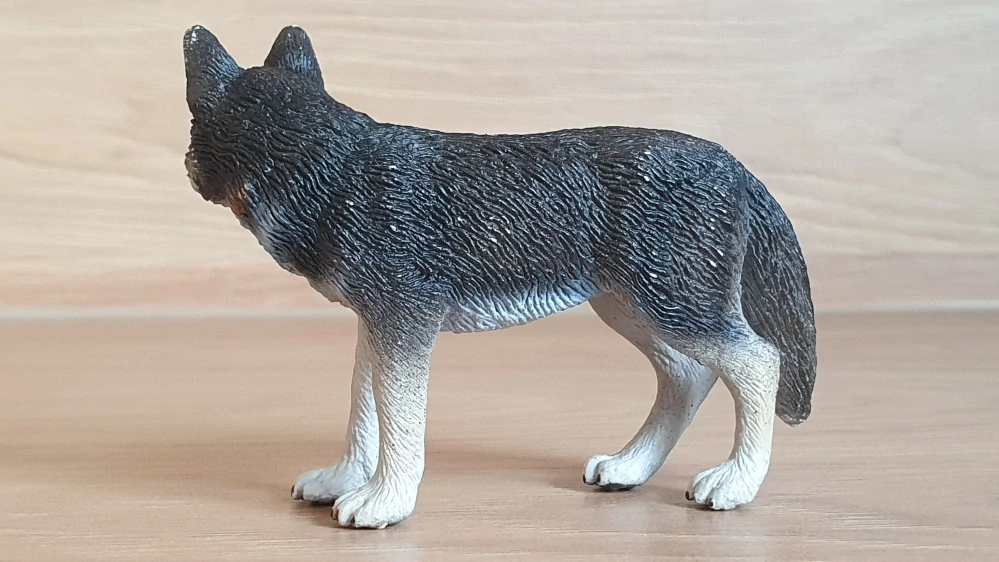 vlk 14605, model 2008