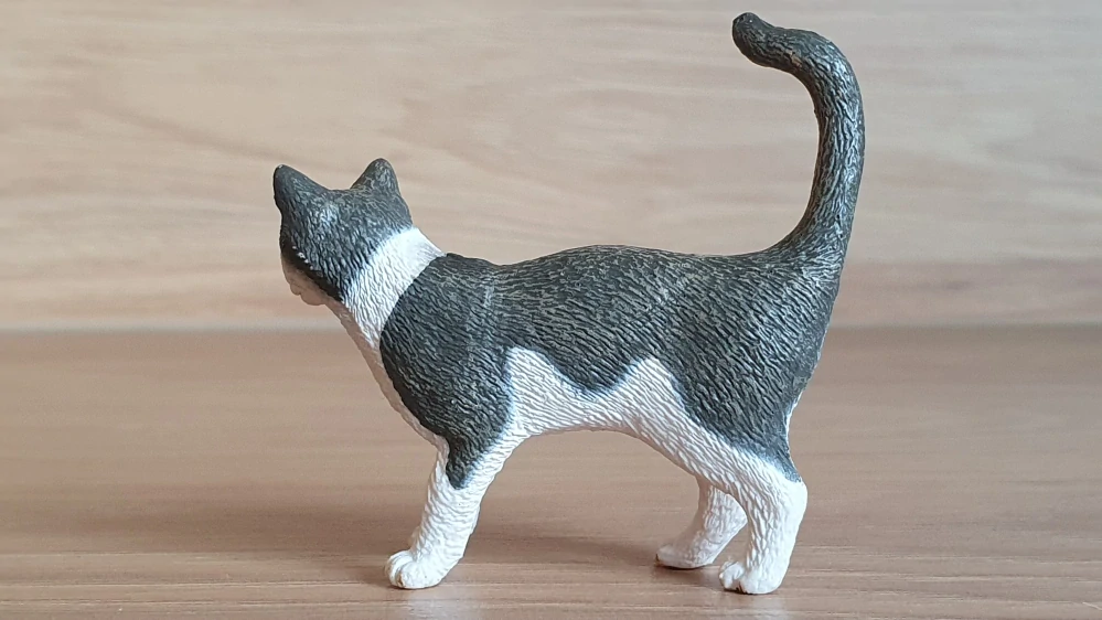 kočka  13638, model 2008