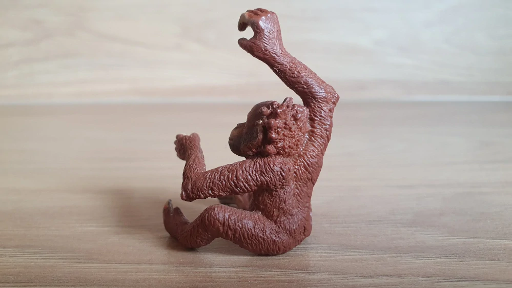 orangutan mládě 14776, model 2016