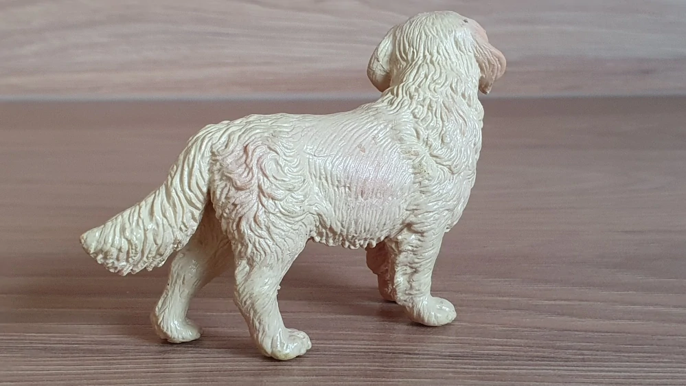 zlatý retrívr  16313