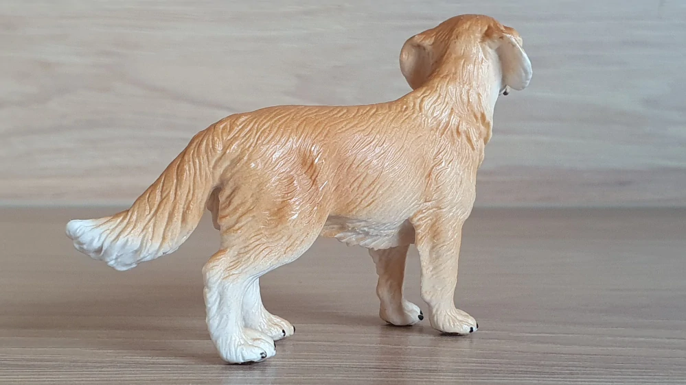 zlatý retrívr 16335, model 2003