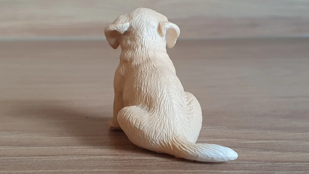 zlatý retrívr štěně 16342, model 2005