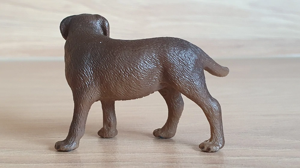 labrador hnědý 16387, model 2009