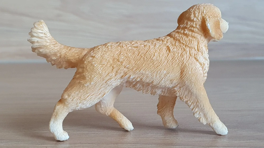 zlatý retrívr fena 16395, model 2013