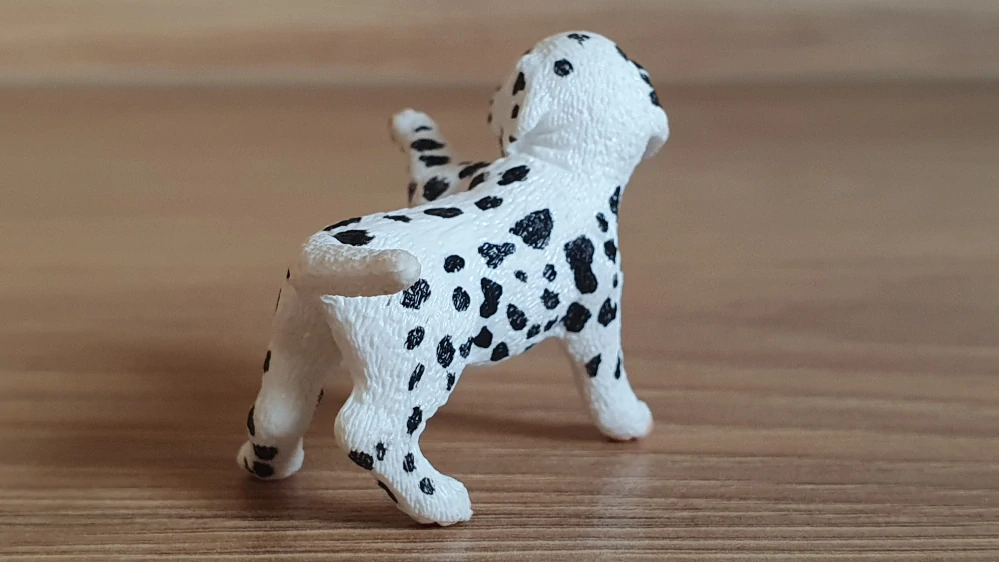 Dalmatin štěně 16839, model 2015