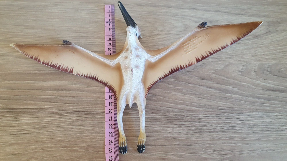 Quetzalcoatlus 16463, model 2008