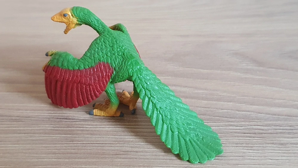 Birdraptor 98644, nové
