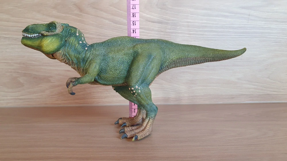 Tyrannosaurus rex  14525, model 2011