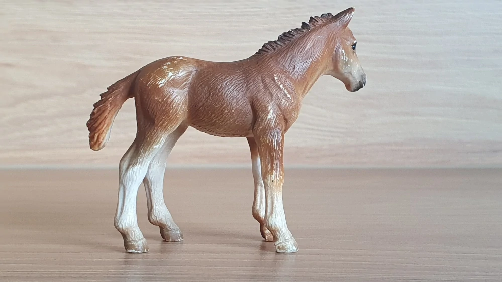 Holštýnské hříbě 13263, model 2001