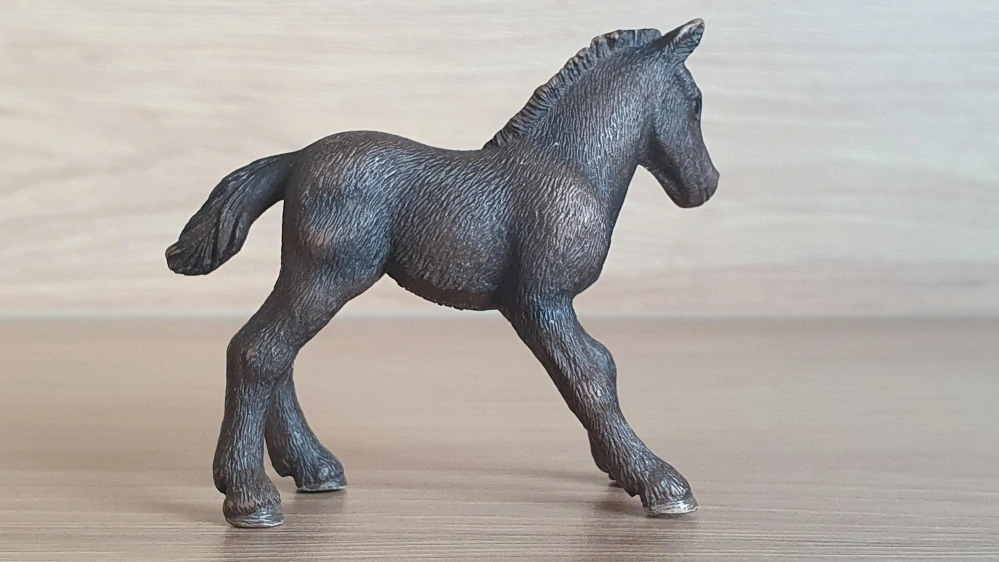 Camargské hříbě 13628, model 2007