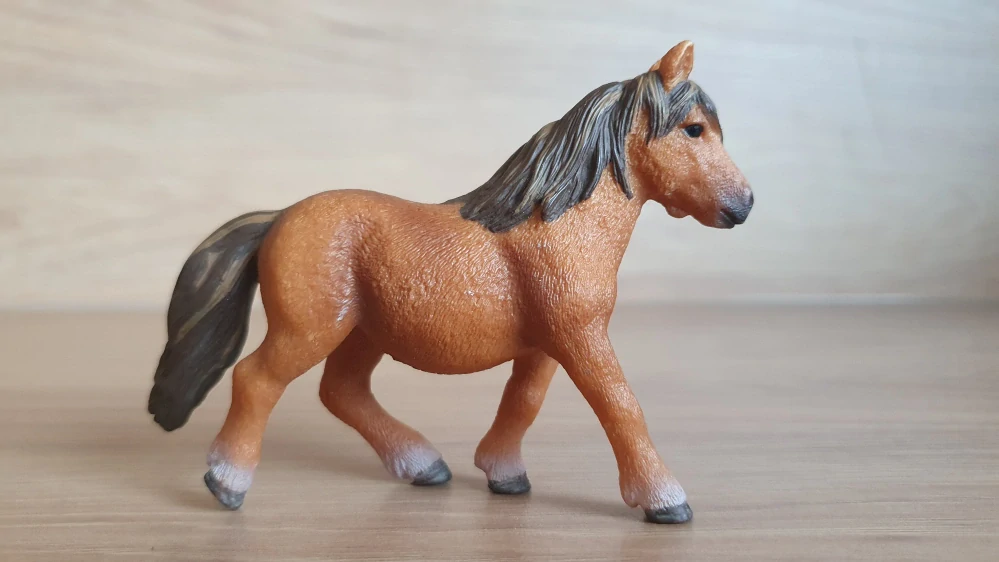 Shetlandský poník 13750, model 2013