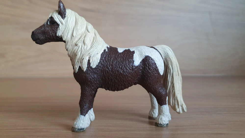 Shetlandský poník valach 13751, model 2009