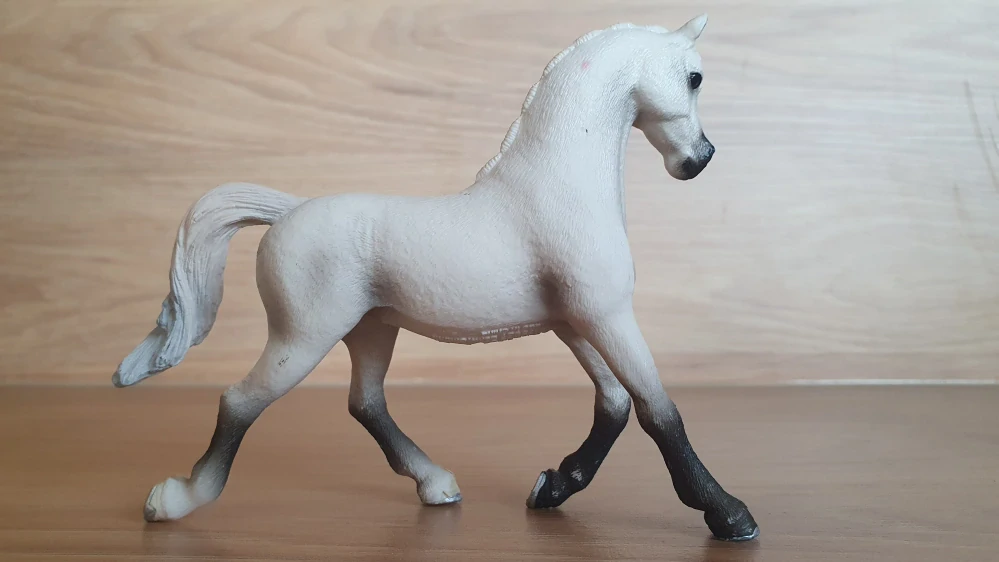 Bílá arabská klisna  13761, model 2013