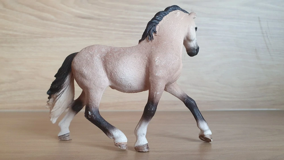 Andaluská klisna  13793, model 2014