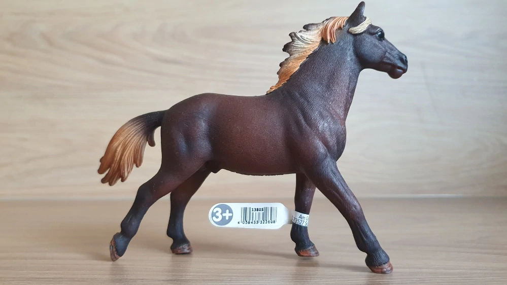 hřebec Mustang 13805, model 2015