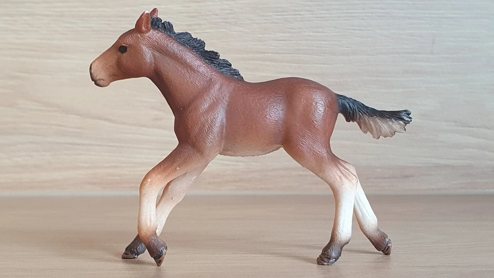 hříbě Mustanga 13807, model 2015