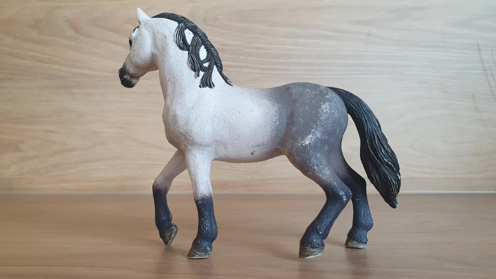 Andaluský hřebec 13821, model 2016