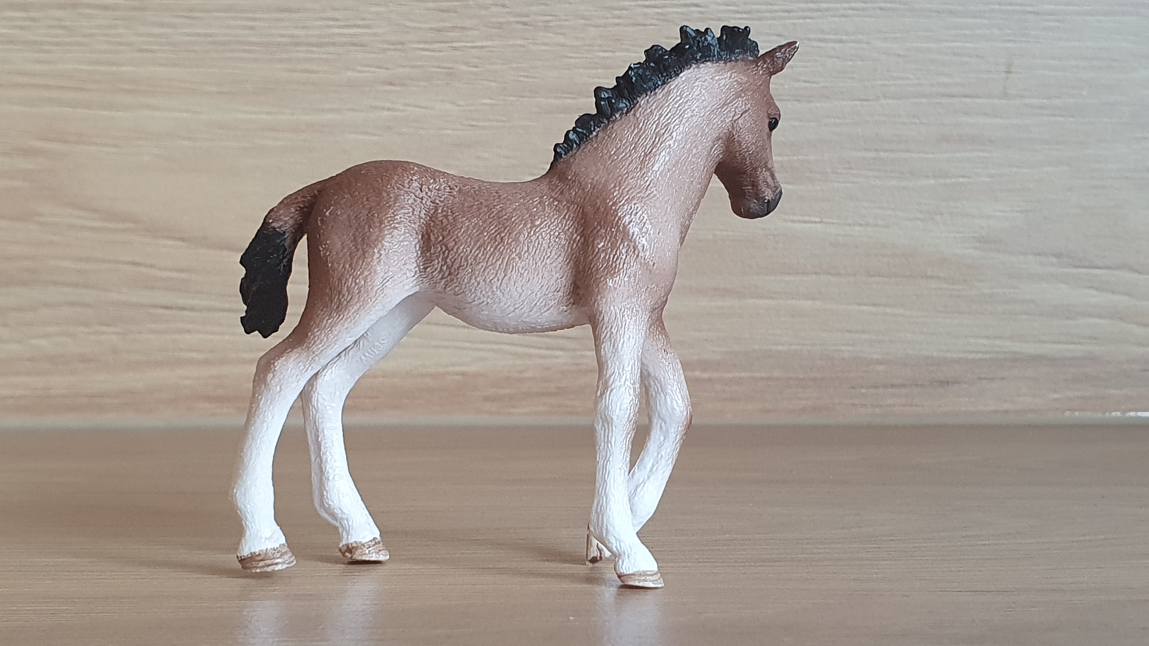 Andaluské hříbě 13822, model 2016