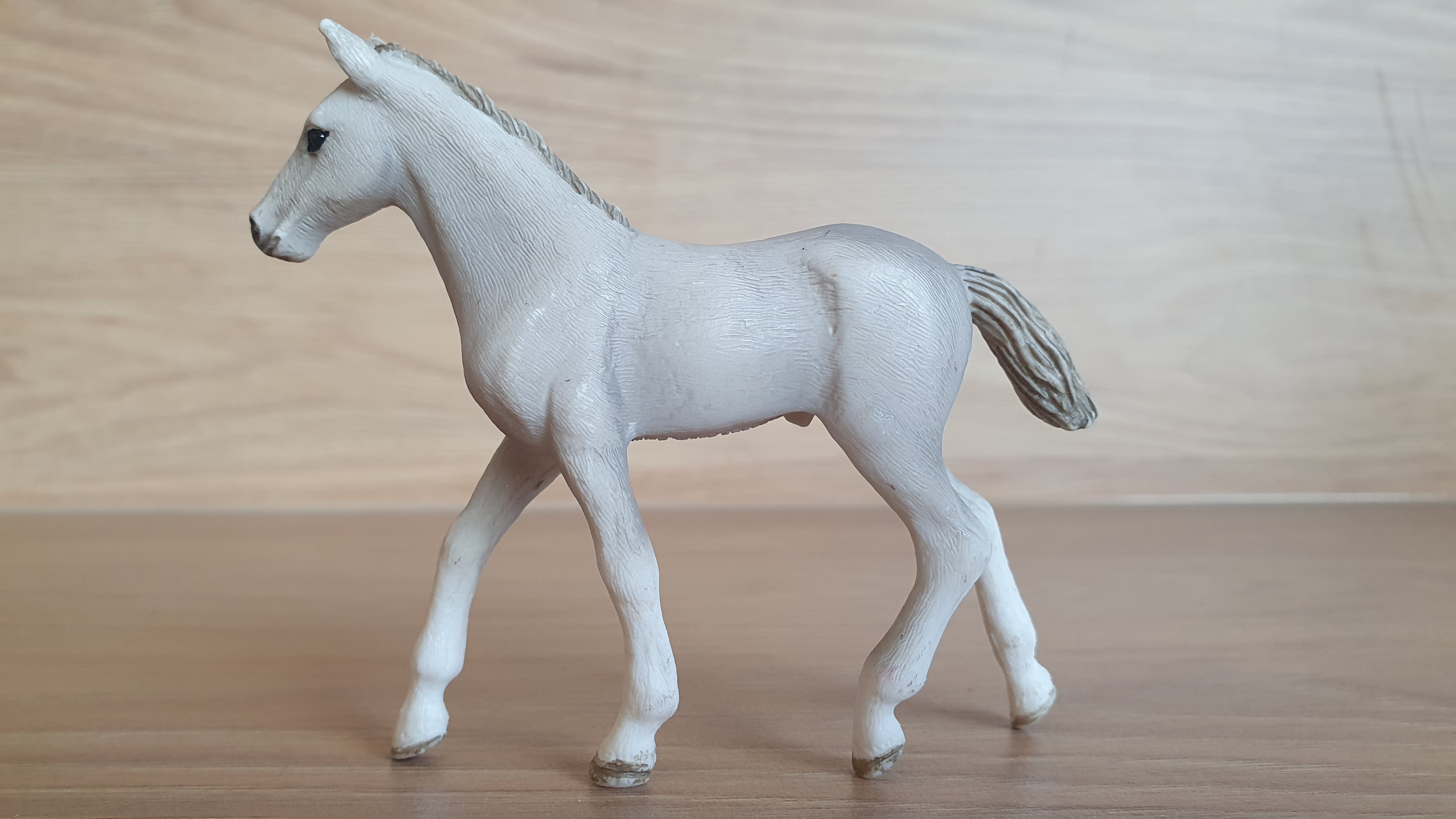 Holštýnské  hříbě  13860, model 2017