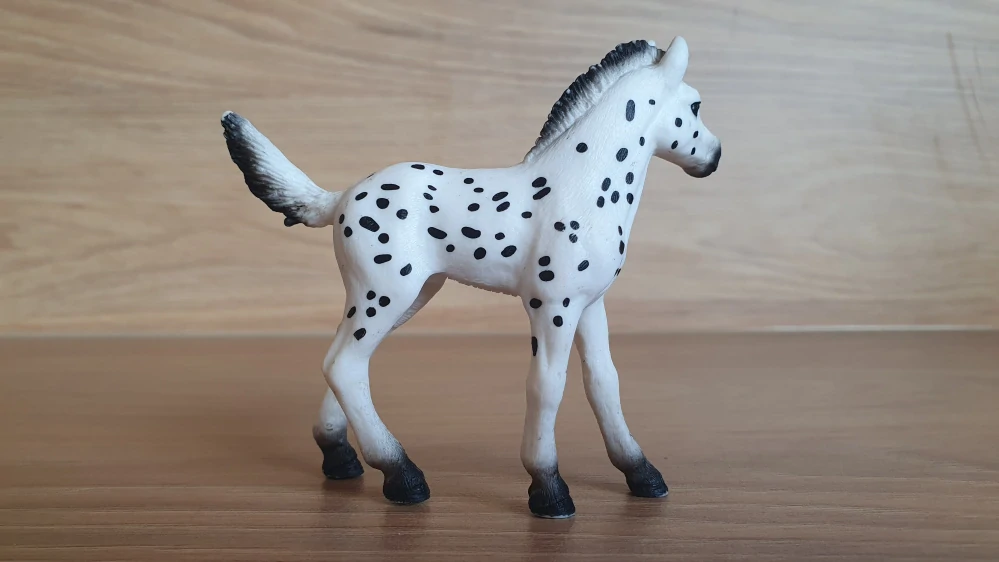 Knabstrupperské hříbě 13890, model 2018