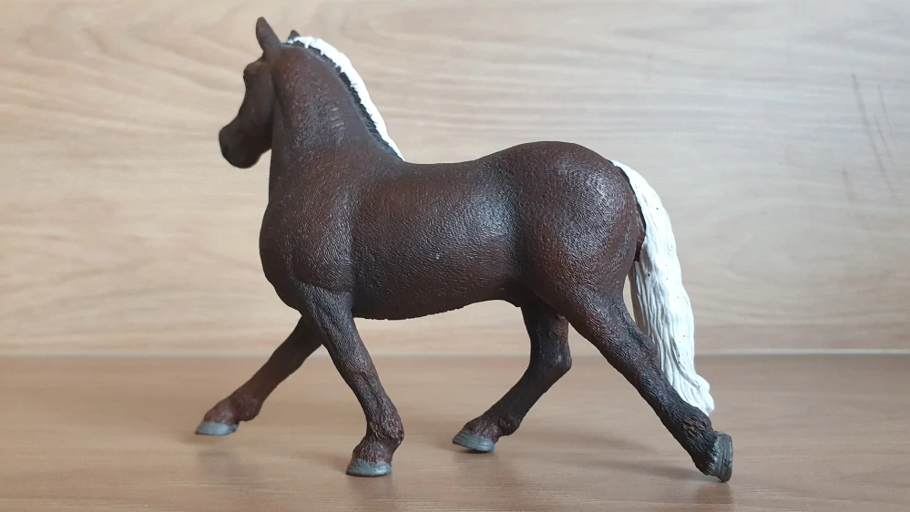 Černý lesní hřebec 13897, model 2019