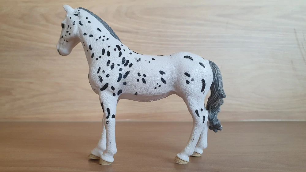 Knabstrupperská klisna 13910, model 2019
