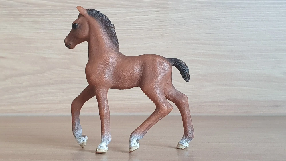 Oldenburské hříbě 13947, model 2021