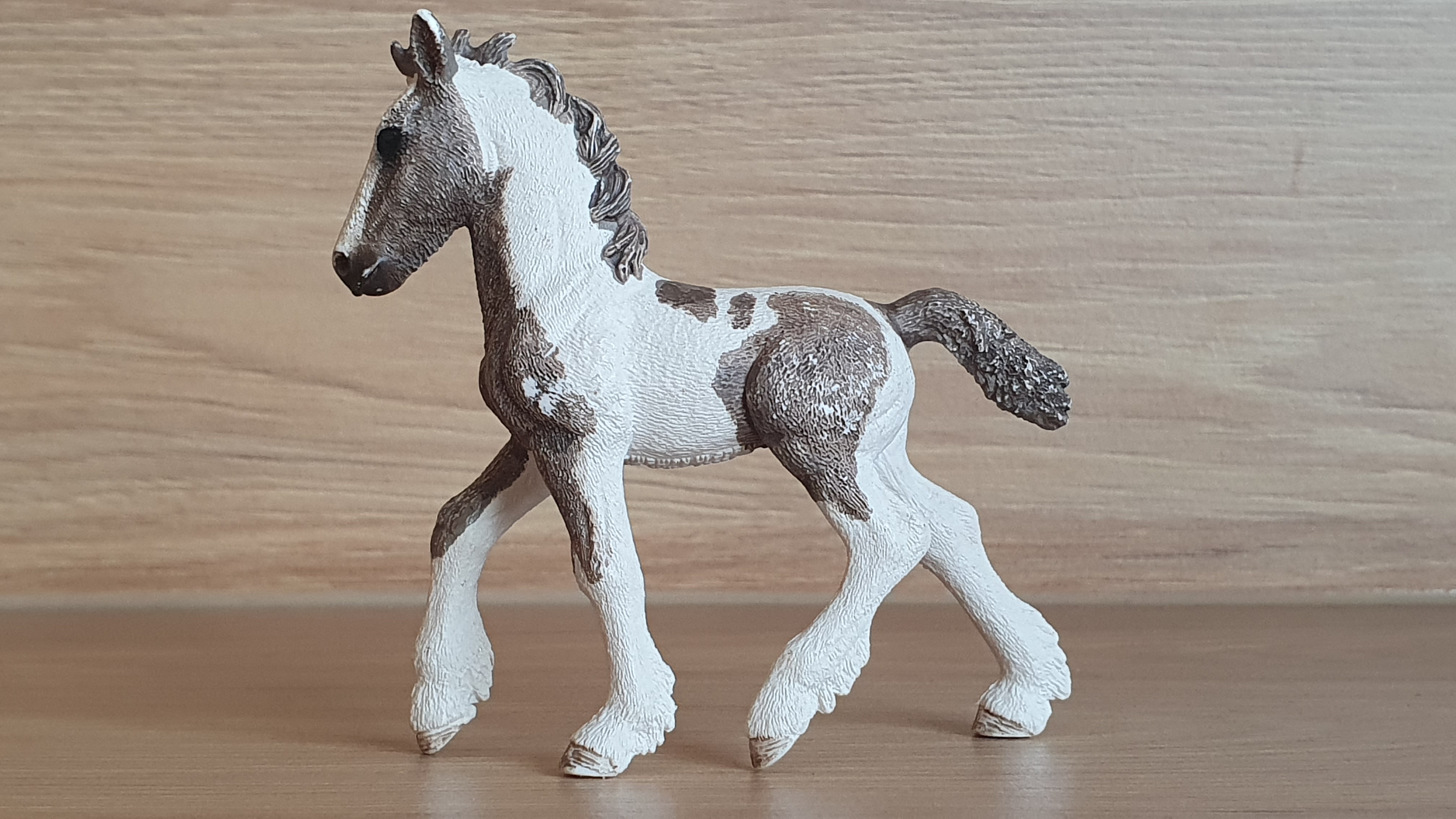 Kůň irský Tinker hříbě 13774, model 2014