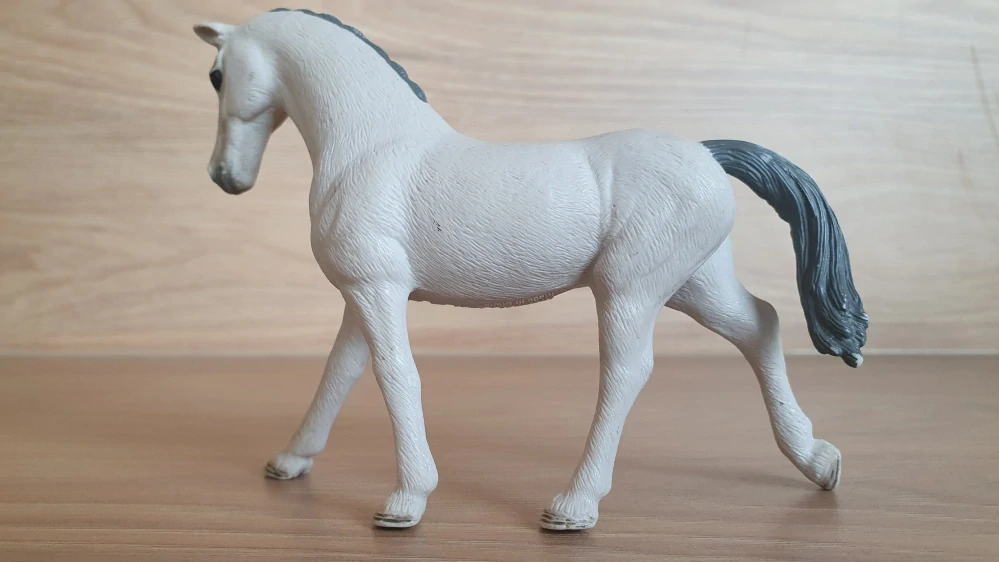 Trakhener hříbě  98269, model 2013