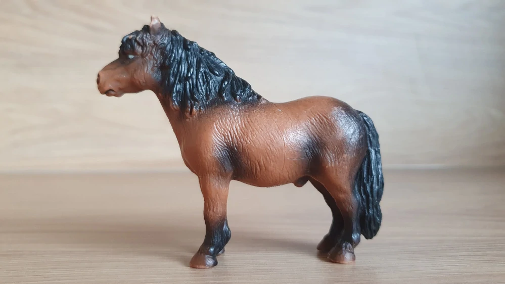 Poník 13215, model