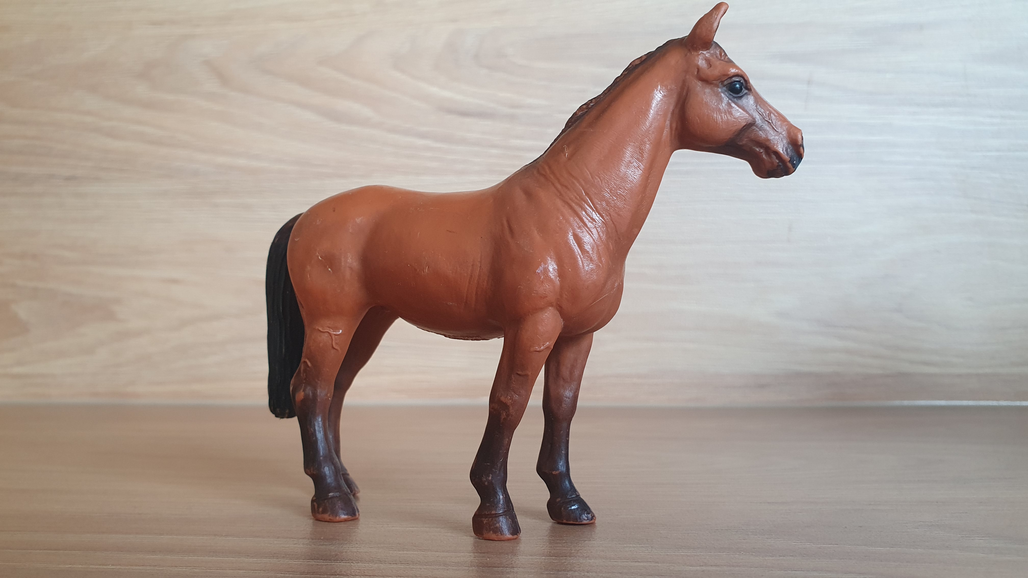Trakehnerská klisna 13261, model 2001