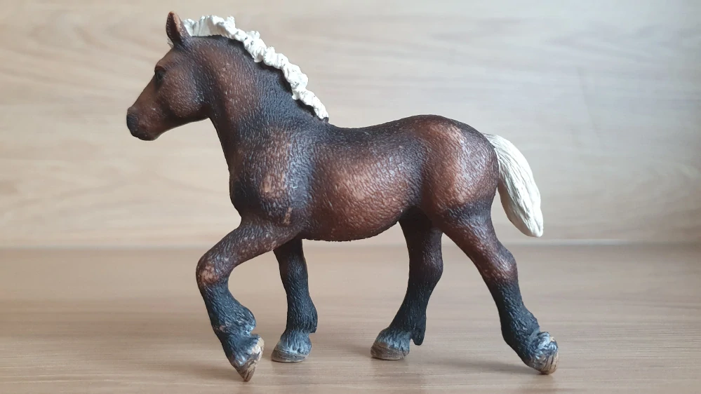 Černý lesní hříbě – roční 13665, model 2009