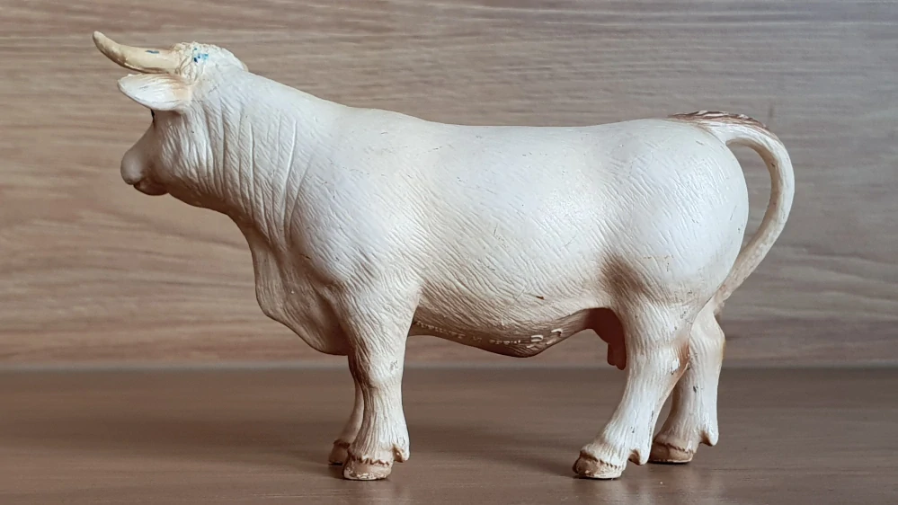 kráva  13610, model 2005
