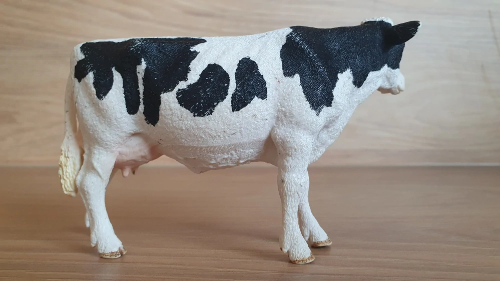 kráva holštýnská  13797, model 2015