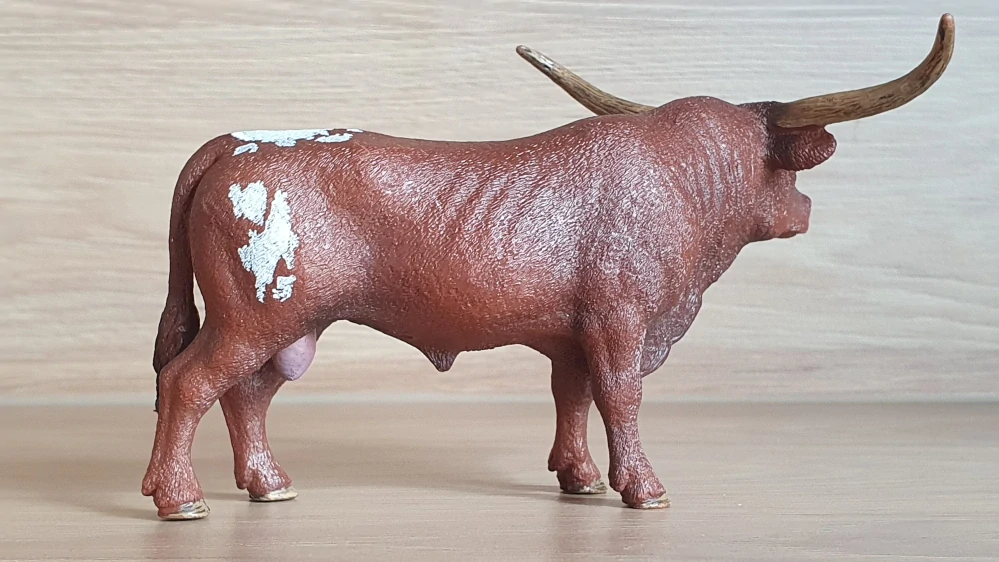 Býk longhornský  13866, model 2017