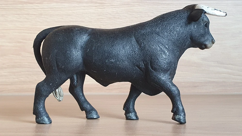 Černý býk  13875, model 2017