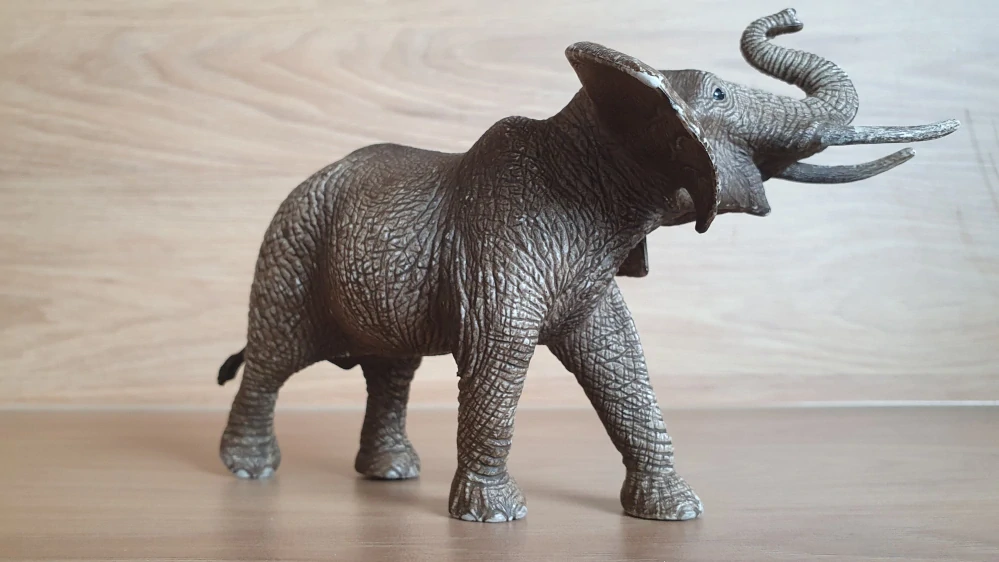 slon africký samec 14762, model 2015