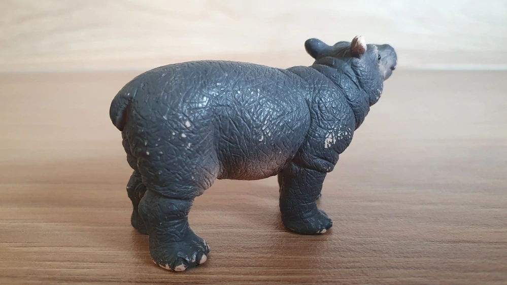 hroch mládě 14831, model 2019