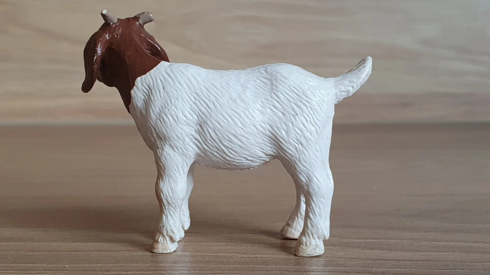 kůzle burské 13260, model 2001