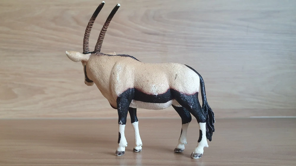 antilopa Oryx 14759, model 2015