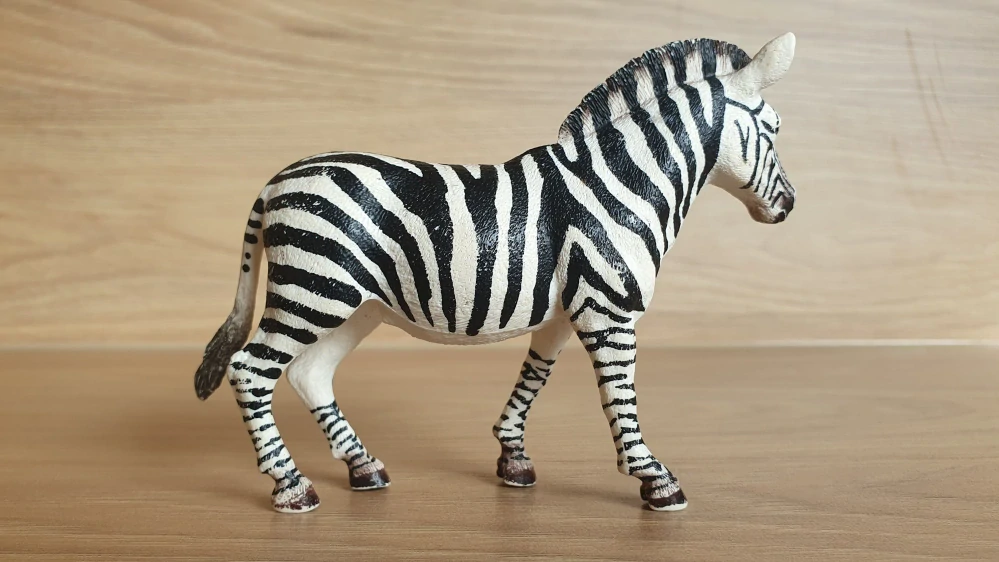 zebra 14810, model 2017