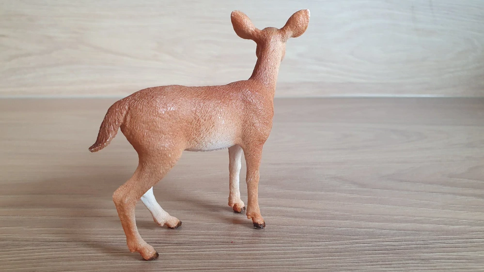 Laň jelence  14819, model 2018