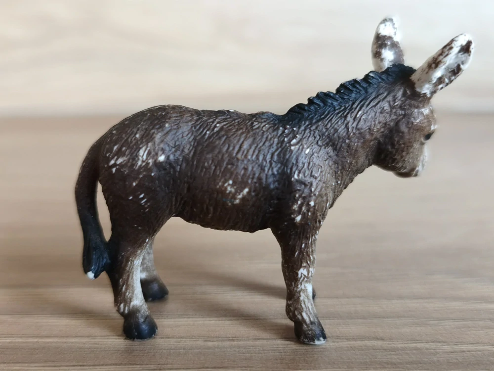 osel mládě 13268, model 2002